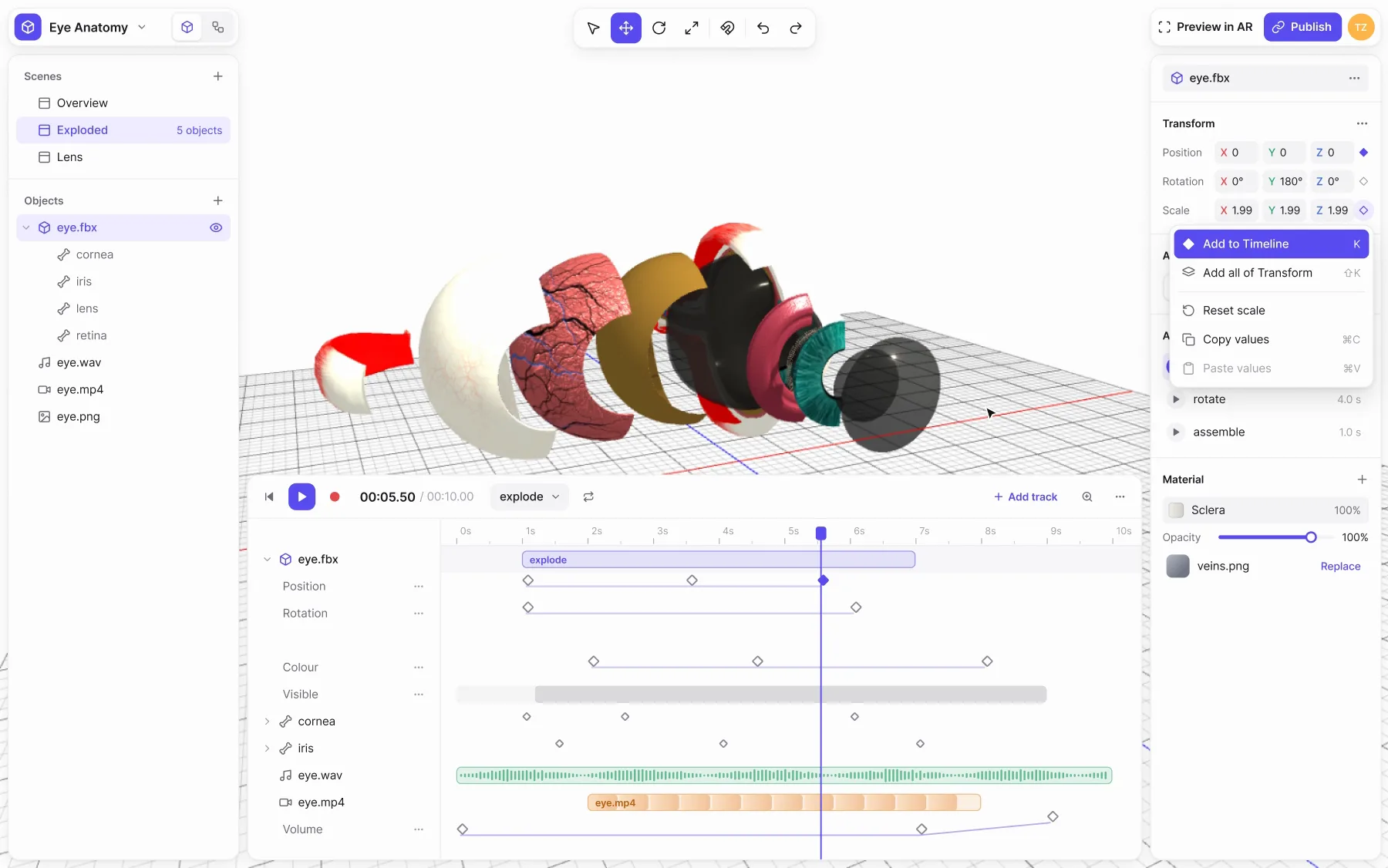 The ARQ timeline with an exploded eye model: the pointer picks Add to Timeline from the Scale field's menu, a new Scale track marked New appears with a key at the playhead, and the clip plays on.